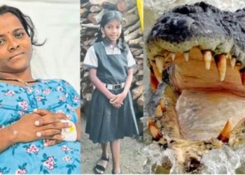 मगरीच्या जबड्यात अडकली आई; १० वर्षांच्या लेकीने जीवाची पर्वा न करता खेचले मृत्यूच्या दारातून बाहेर!