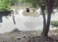 अमळनेरमध्ये काळीज पिळवटून टाकणारी घटना; लेकाला वाचविण्यासाठी तलावात उतरलेला बापही बुडाला