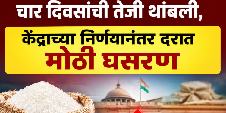 साखरेचे भाव कोसळले; चार दिवसांची तेजी थांबली, केंद्राच्या निर्णयानंतर दरात मोठी घसरण