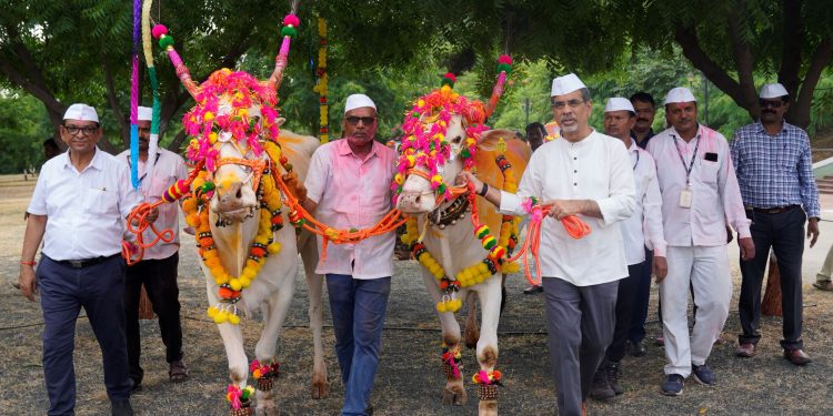 जैन हिल्सवर रंगला पारंपरिक पोळा सणाचा जल्लोष…