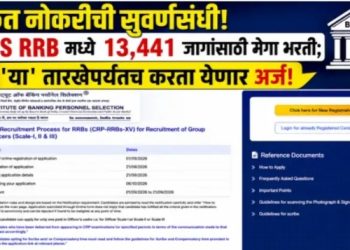 सरकारी नोकरीचे स्वप्न पूर्ण होणार! IBPS RRB मध्ये तब्बल १३ हजार पदांसाठी भरती जाहीर